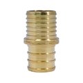 Apollo Pex 3/4 in. Brass PEX Barb Polybutylene Coupling APXBC3434